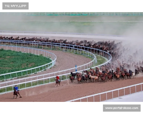 纯血马组旋风快递与青龙驹在内蒙古千米两千米赛道勇夺冠军 纯血马组旋风快递与青龙驹在内蒙古千米两千米赛道勇夺冠军