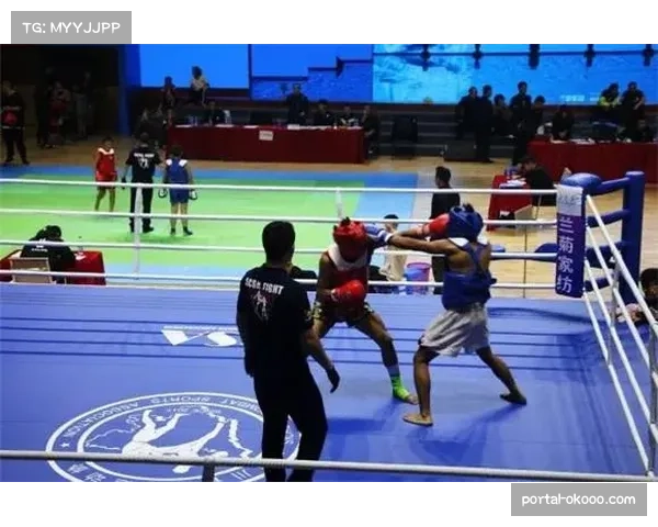 “全国青少年搏击锦标赛南川开幕，500余选手展少年锋芒”